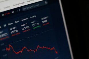 Stratégies d'investissement